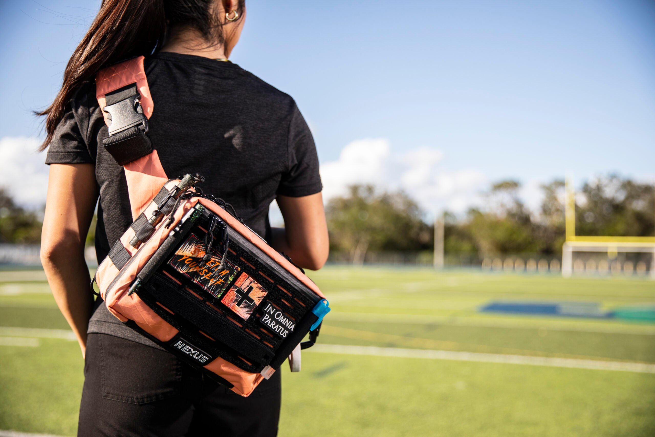 Nemesis - Alpenglow image