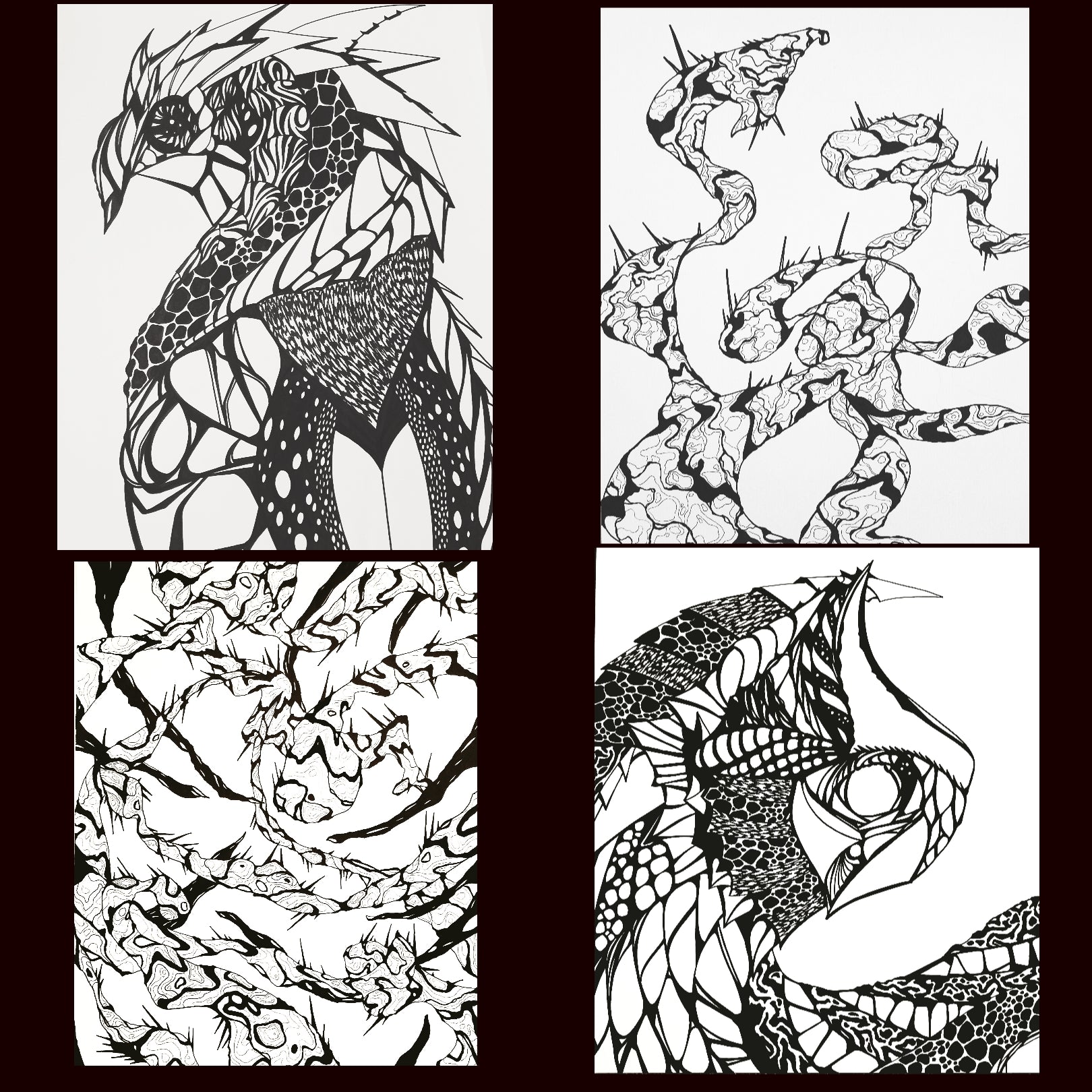 Nexus Sports Medicine